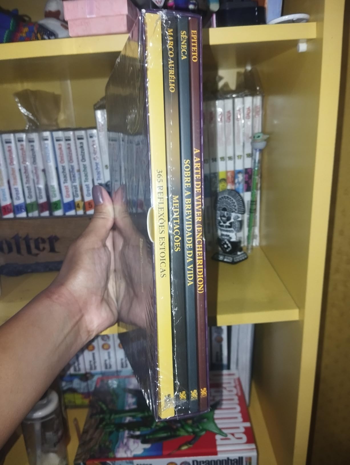 Foto enviada por André Tavares — Box Biblioteca Estoica