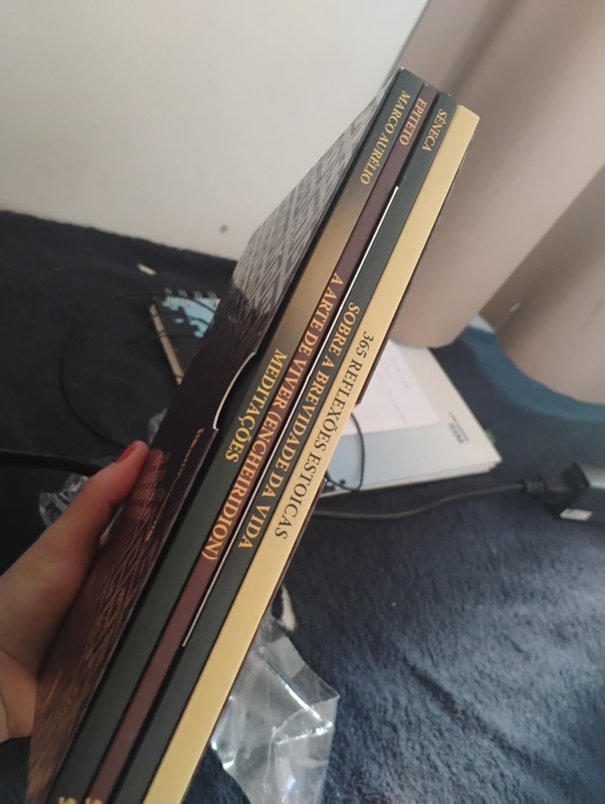 Foto enviada por Beatriz Rocha — Box Biblioteca Estoica